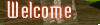 Welcome